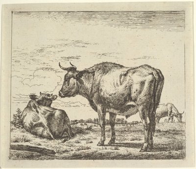 Álló bika, a különböző állatoktól. alkotó: Adriaen van de Velde