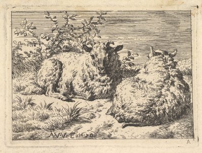 Két fekvő bárány, 1670. alkotó: Adriaen van de Velde
