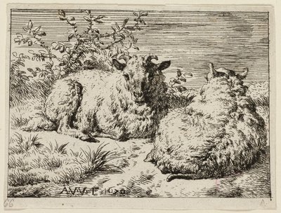 Két birka alkotó: Adriaen van de Velde