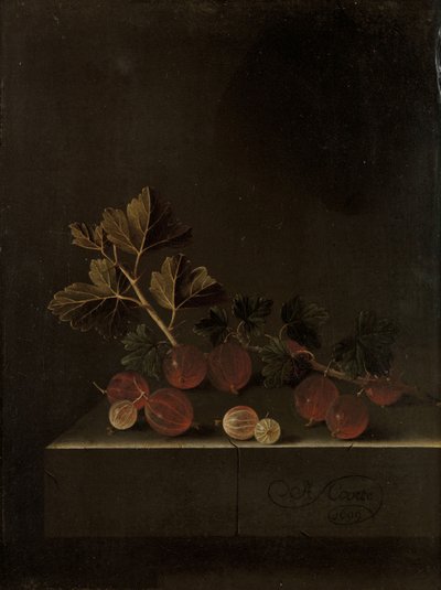 Egy ágacska egres a kőtalapzaton, 1699 alkotó: Adrian Coorte