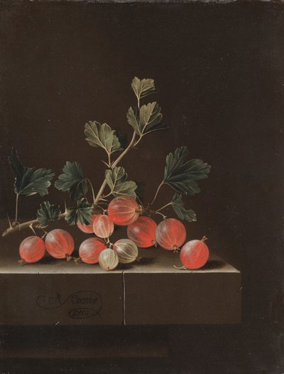Egres az asztalon, 1701 alkotó: Adrian Coorte