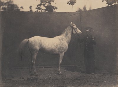 Pascaline, kb. 1855-60. alkotó: Adrien Alban Tournachon