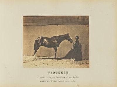 A Vertuose-ban alkotó: Adrien Alban Tournachon