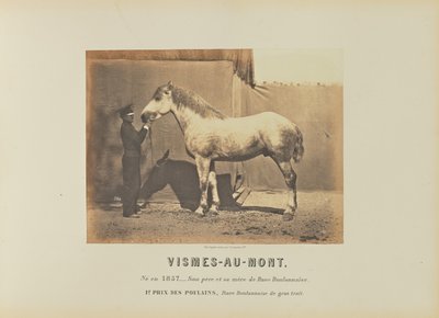 Vismes-Au-Mont alkotó: Adrien Alban Tournachon