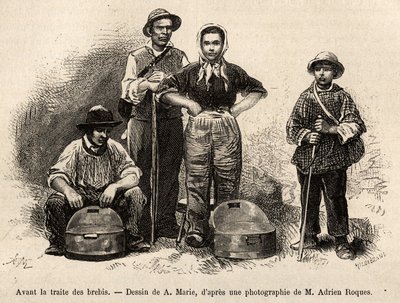 A birkakereskedelem előtt a gazdaság minden dolgozója ezen a helyen dolgozott, fiú, cseléd, a pásztor felügyelete mellett tejet gyűjtöttek a seillesben (fémváza etame), A.Marie rajza nyomán metszett, illusztrálva utazás Roquefóba alkotó: Adrien Emmanuel Marie