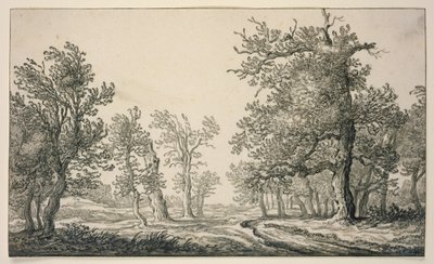 Ösvény tölgyerdőn át alkotó: Aelbert Cuyp