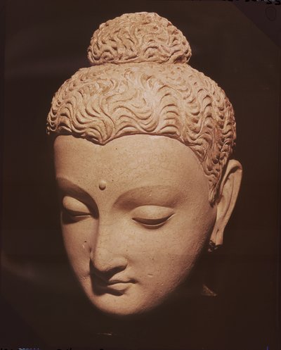 Buddha feje, görög-buddhista stílusban, Haddából (stukkó) alkotó: Afghan School
