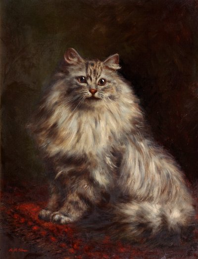 Perzsa macska, 1908-20 körül alkotó: Agnes Augusta Talboys