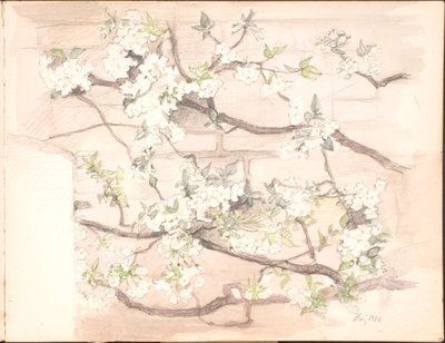 Vázlatfüzet. 1899. július – 1901. június alkotó: Agnes Slott Møller