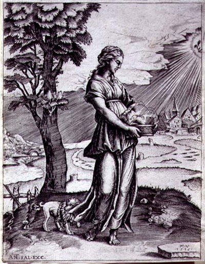 A kumai Szibilla alkotó: Agostino Musi