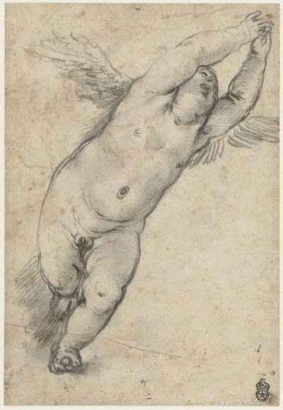 Repülő puttó felemelt karokkal alkotó: Agostino Carracci (attributed to)