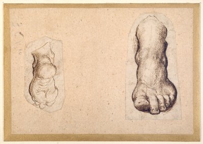 Két tanulmány a lábról a rövidítésben (toll és tinta papíron) alkotó: Agostino Carracci