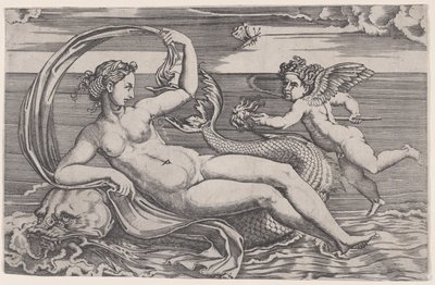A delfinen fekvő Vénusz, kb. 1516. alkotó: Agostino Veneziano