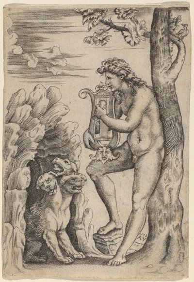 Orfeusz alkotó: Agostino dei Musi