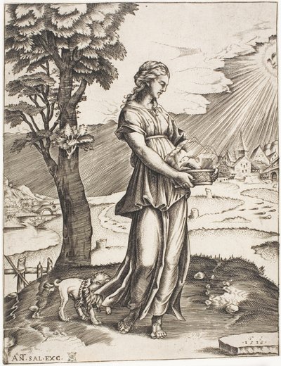 A kumai Sybil alkotó: Agostino dei Musi