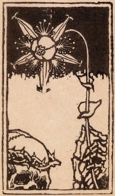 A halál és a virág alkotó: Akseli Gallen-Kallela
