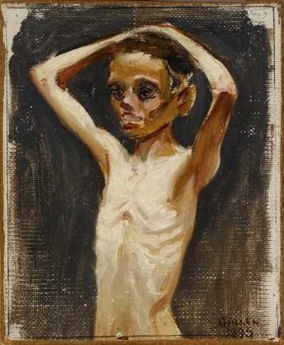 A Jaskala-tanyáról származó lány alkotó: Akseli Gallen-Kallela