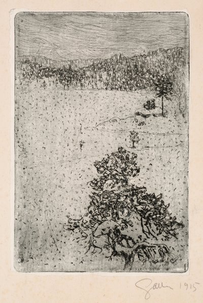  alkotó: Akseli Gallen-Kallela
