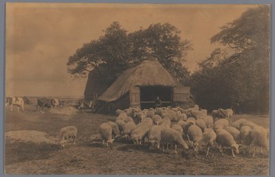 Táj juhokkal, tehénekkel, gazdálkodókkal és juhaikkal, Hollandia A bárányhal Alb. Kapteyn, Hága (cím a tárgyon) alkotó: Alb. Kapteijn