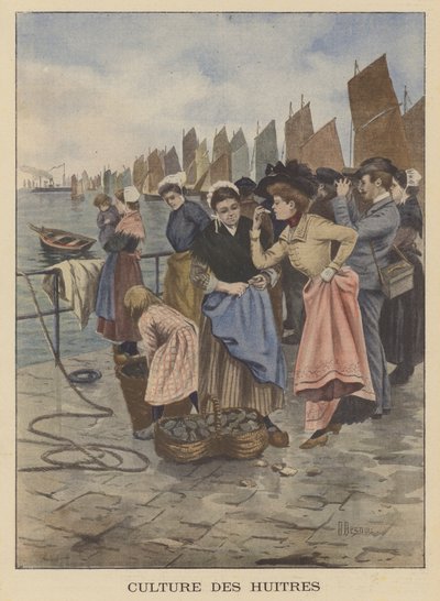 Osztriga betakarítás Cancale-ban, Bretagne-ban alkotó: Albert Besnou