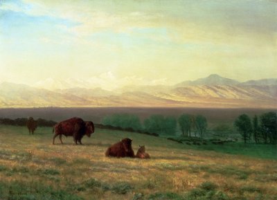 Bivaly a síkságon, 1890 körül alkotó: Albert Bierstadt