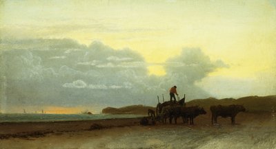 Coastal View, Newport, 1861 alkotó: Albert Bierstadt