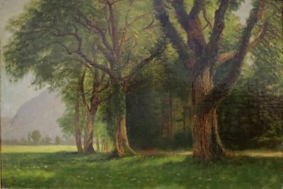 A Yosemite-völgyben alkotó: Albert Bierstadt