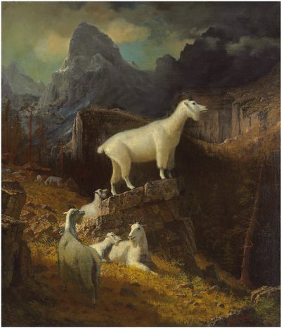 Rocky Mountain Goats, 1885 körül (olaj, vászon) alkotó: Albert Bierstadt