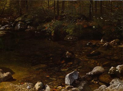 Shady Pool, White Mountains, New Hampshire, c. 1869. alkotó: Albert Bierstadt