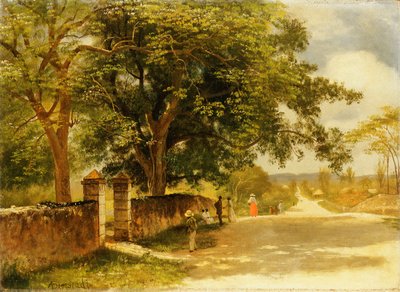 Utca Nassauban, 1878 körül alkotó: Albert Bierstadt