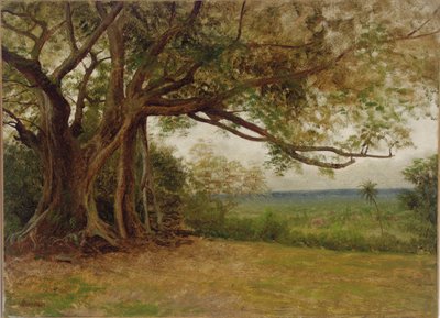 Tanulmány a "Kolumbusz partraszállásához", 1892 alkotó: Albert Bierstadt