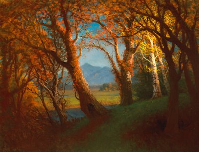 Naplemente a Nebraska Területen alkotó: Albert Bierstadt