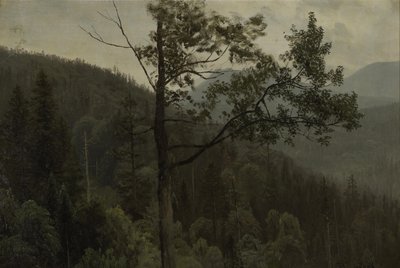Fákkal borított hegyek alkotó: Albert Bierstadt