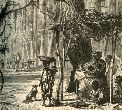 „Út menti jelenet Charleston közelében”, 1872. alkotó: Albert Bobbett