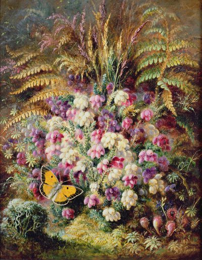 Bell Heather, 1877 alkotó: Albert Durer Lucas