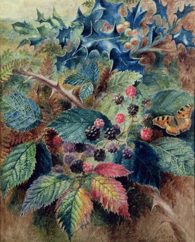 Szeder és magyal pillangóval alkotó: Albert Durer Lucas