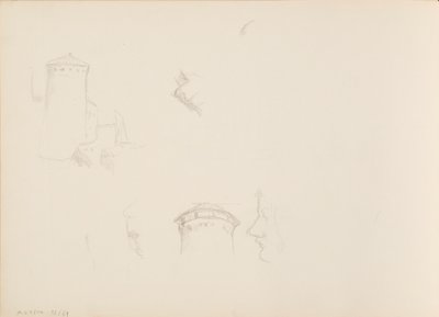 Növénytervek, Savonlinna torony alkotó: Albert Edelfelt