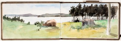 Cím nélkül alkotó: Albert Edelfelt