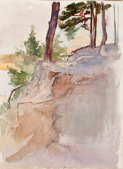 Cím nélkül alkotó: Albert Edelfelt