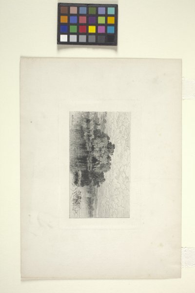 Táj tóval (tinta) alkotó: Albert Fitch Bellows