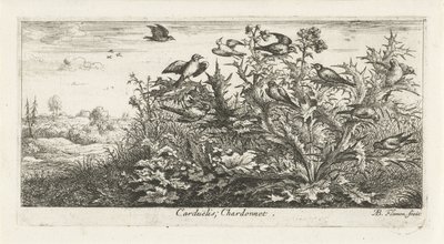 Táj aranypintyekkel a bogáncsban Carduelis; Chardonneret. (cím a tárgyon) Madárkönyv (sorozat címe) Livre d