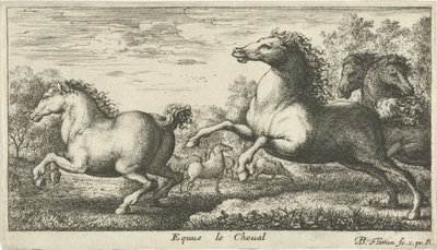 Lovak Equus le Cheval (cím a tárgyon) Különböző állatfajok (sorozat címe) alkotó: Albert Flamen