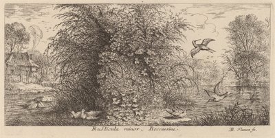 Rusticula minor, A szalonka alkotó: Albert Flamen
