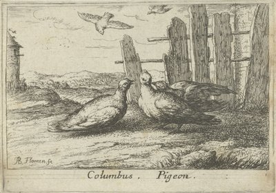 Két galamb a kerítésnél Kolumbusz. Galamb. (cím a tételen) Tizenhárom madárfaj (sorozat címe) Diuersae Auium Specie (sorozat címe) alkotó: Albert Flamen