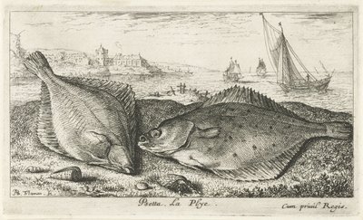 Két lepényhal a tengerparton psetta. La Plye. (cím a tárgyon) Halak és más tengeri élőlények – sósvízi második sorozat (sorozat címe) Poissons de mer (sorozat címe) alkotó: Albert Flamen