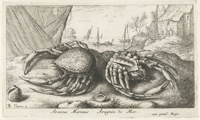 Két pókrák halászháló közelében Araneus Marinus Aragnée de Mer (cím a tárgyon) Halak és más tengeri élőlények – sósvízi második sorozat (sorozat címe) Poissons de mer (sorozat címe) alkotó: Albert Flamen