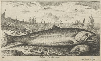 Két lazac a tengerparton Salmo. Le Saulmon (cím a tárgyon) Halak és más tengeri élőlények – sósvízi első sorozat (sorozat címe) Diverse Especes de Poissons de mer (sorozat címe) alkotó: Albert Flamen