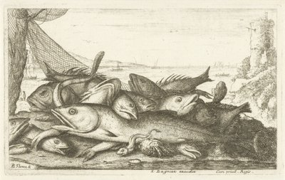 Remete rák horgászat Különböző halfajok (sorozat címe) Diverse Especes De Poissons tant de Mer, que d