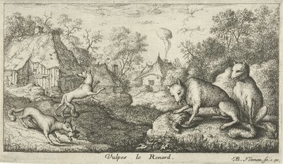 rókák Vulpes le Renard (cím a tárgyon) Különböző állatfajok (sorozat címe) alkotó: Albert Flamen