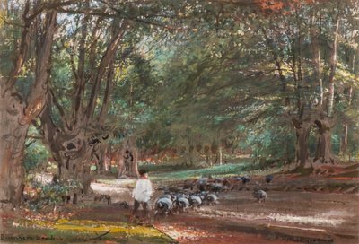 Burnham Beeches (akvarell és testfesték) alkotó: Albert Goodwin